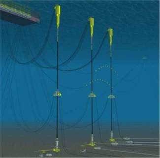 otc17696 Inspection and monitoring of Girassol hybrid riser towers